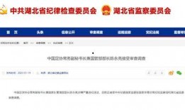 华信煤气最新爆料信息查询,揭秘行业内幕，深度剖析市场动态