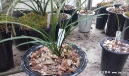 唐竹最新爆料,揭秘娱乐圈惊人内幕