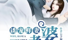 妻1全集在线观看,一场跨越时空的浪漫邂逅