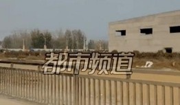 焦作武陟村民爆料案件最新,真相渐明，警方全力侦破中”