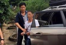 德庆新闻爆料,揭秘当地热点事件背后的真相