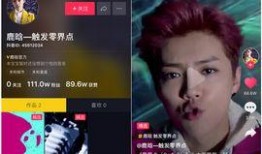 抖音爆料鹿晗事件视频,真相揭秘与网络舆论风暴