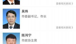 阿里人最新爆料新闻视频,揭秘公司最新动态与重大决策