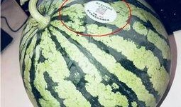 网红精品吃瓜,揭秘热门事件背后的真相与笑料