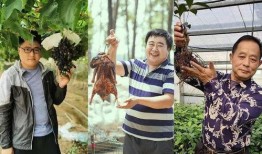 农民老张最新爆料新闻,揭秘农村新动向背后的惊人真相！