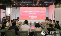 武汉智工爆料最新消息,揭秘行业重大动态与突破！