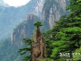 黄山片在线观看,黄山片在线观看之旅