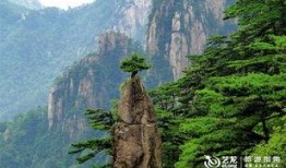 黄山片在线观看,黄山片在线观看之旅