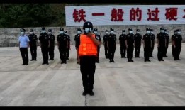 老汪爆料杨振华视频播放,揭秘背后惊人真相