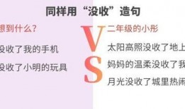 暑假最新爆料视频播放大全,精彩瞬间尽收眼底