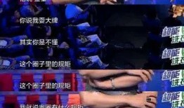 娱乐圈内部大爆料小说,揭秘幕后真相与爱恨情仇