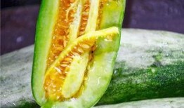 网红吃瓜七组,揭秘娱乐圈幕后真相