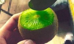 抖音网红各种吃瓜资源,揭秘娱乐圈幕后故事