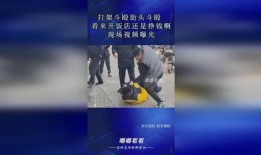 街头爆料视频怎么赚钱的,街头爆料视频如何成为赚钱利器