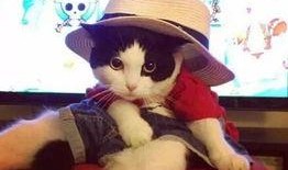 娱乐吃瓜少女喵,揭秘娱乐圈那些不为人知的幕后故事